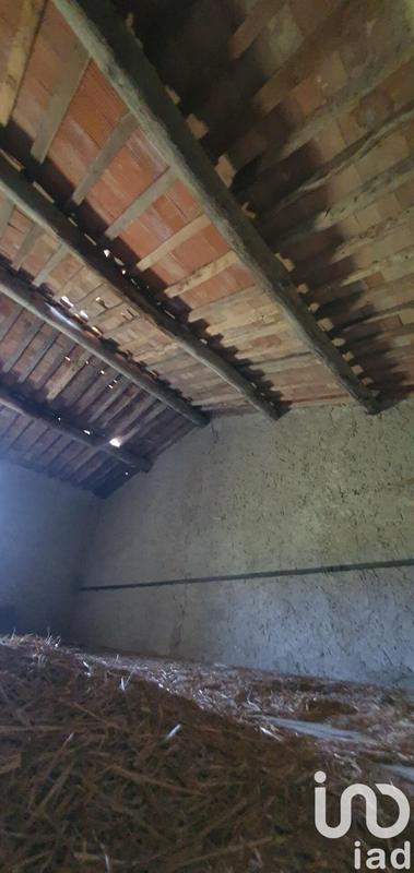 Ferme - 150 m² - 4 pièces