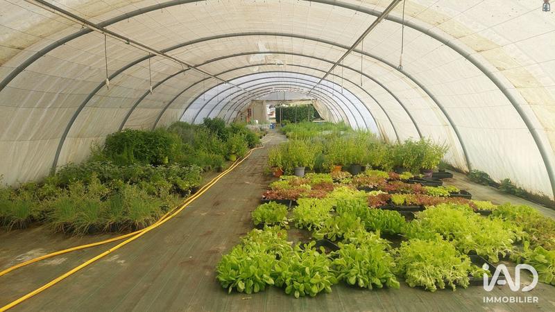 Local commercial - 800 m²