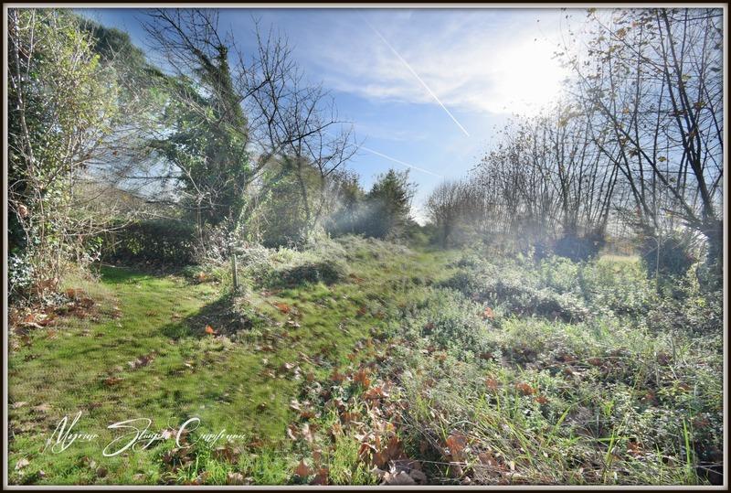 Maison - 225 m² - 5 pièces