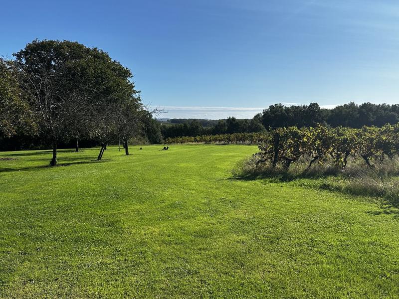 Maison traditionnelle - 181 m² - 9 pièces