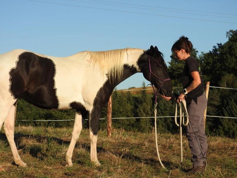 Balade à cheval autour de l'étang de Rouffiac