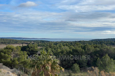 Maison chambre d'hôtes - 550 m² - 14 pièces