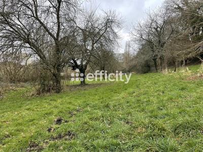 Maison - 292 m² - 1 pièce