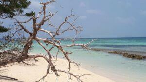 Conférence -Sur le Nouvelle Calédonie