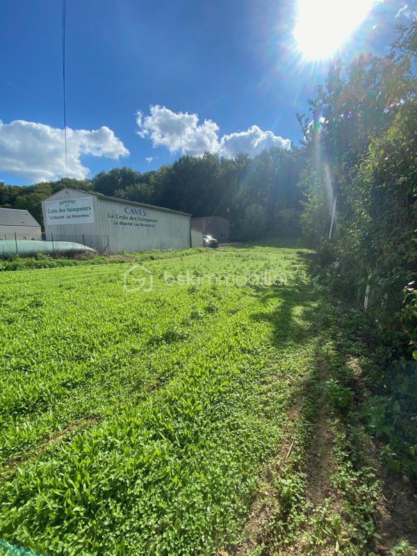 Terrain constructible - 1 007 m²