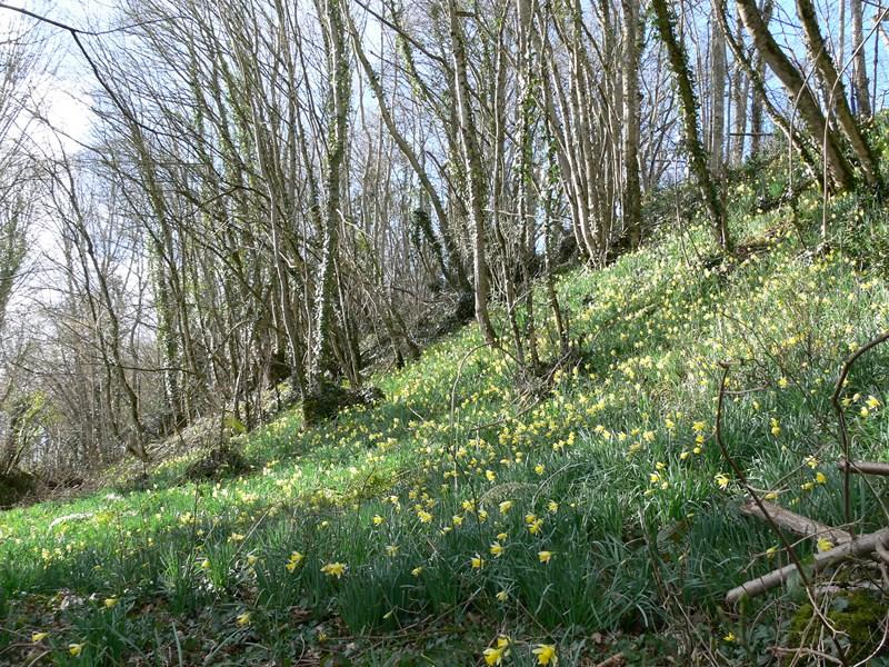 Balade nature : Randonnée dans les méandres de l'Orne