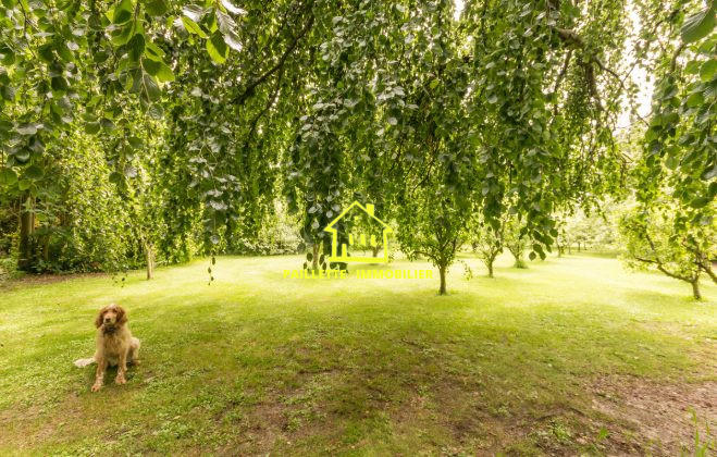 Maison ancienne - 210 m² - 5 pièces