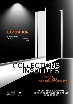 Collections insolites, l'autre visage des bibliothèques