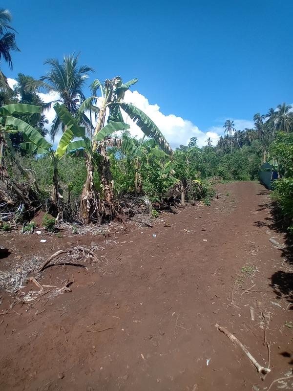 Terrain constructible - 596 m²