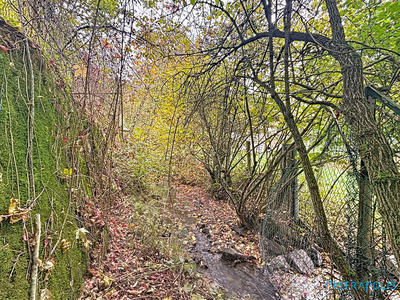 Maison ancienne - 134 m² - 6 pièces