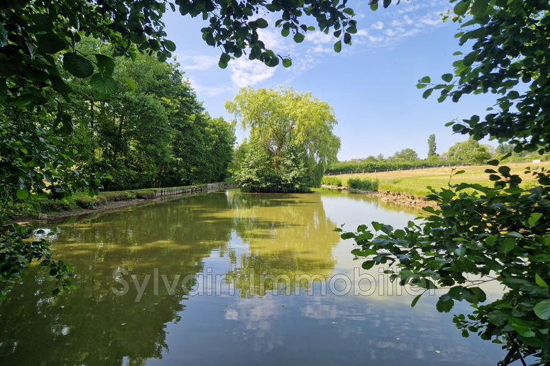 Maison - 216 m² - 6 pièces