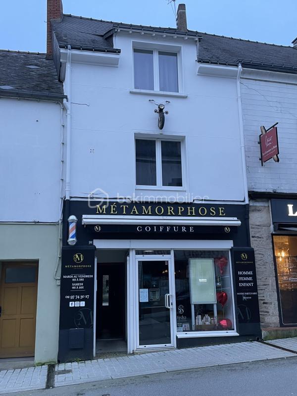 Immeuble - 247 m² - 10 pièces