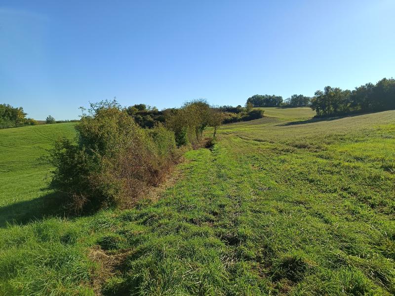 Terrain agricole - 9 582 m²