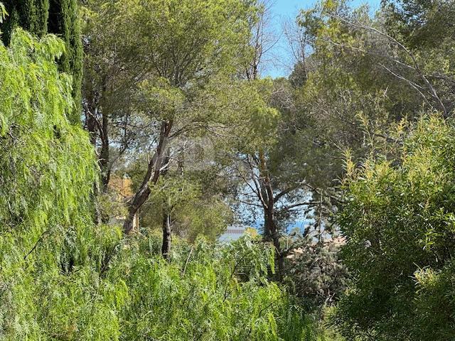 Maison - 270 m² - 7 pièces