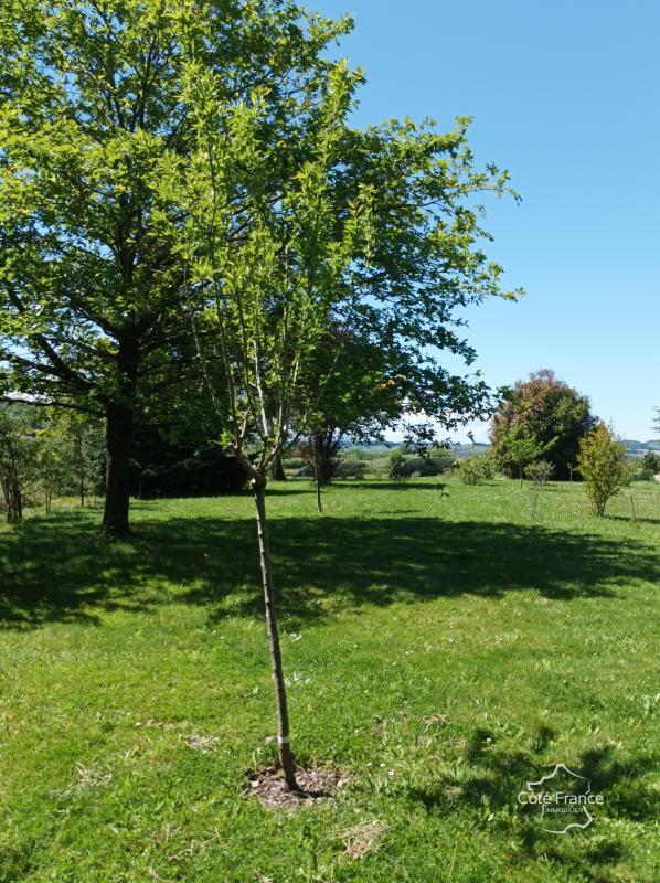 Villa - 187 m² - 7 pièces