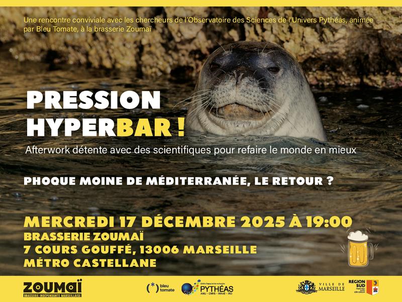 Pression hyperbar ! Phoque moine de Méditerranée, le retour ?