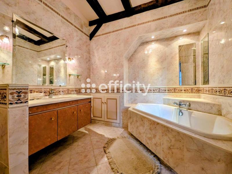 Château - 321 m² - 9 pièces