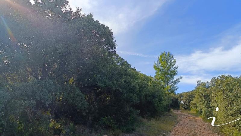 Terrain agricole - 12 250 m²