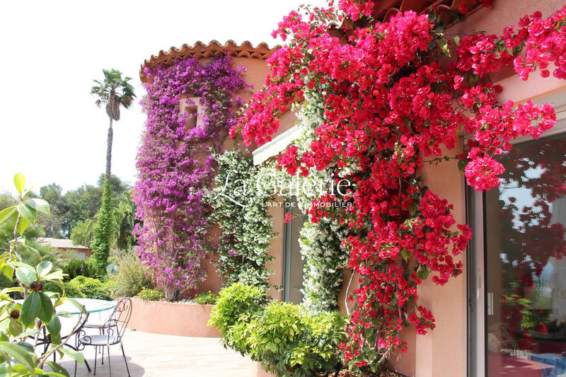 Villa - 360 m² - 9 pièces