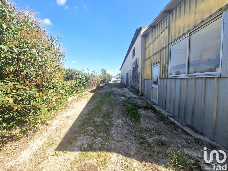 Local commercial - 781 m²