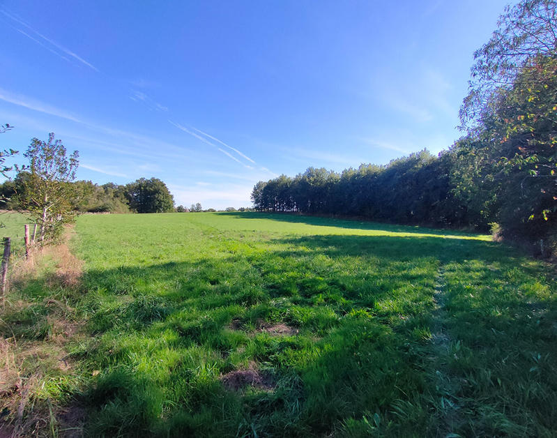 Terrain - 550 000 m²