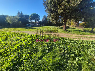 Terrain - 580 m²