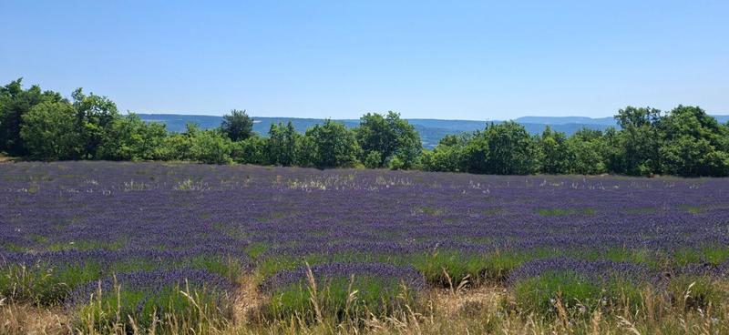 Maison - 45 m² - 3 pièces