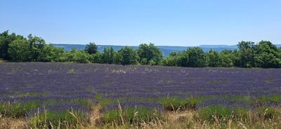 Maison - 45 m² - 3 pièces