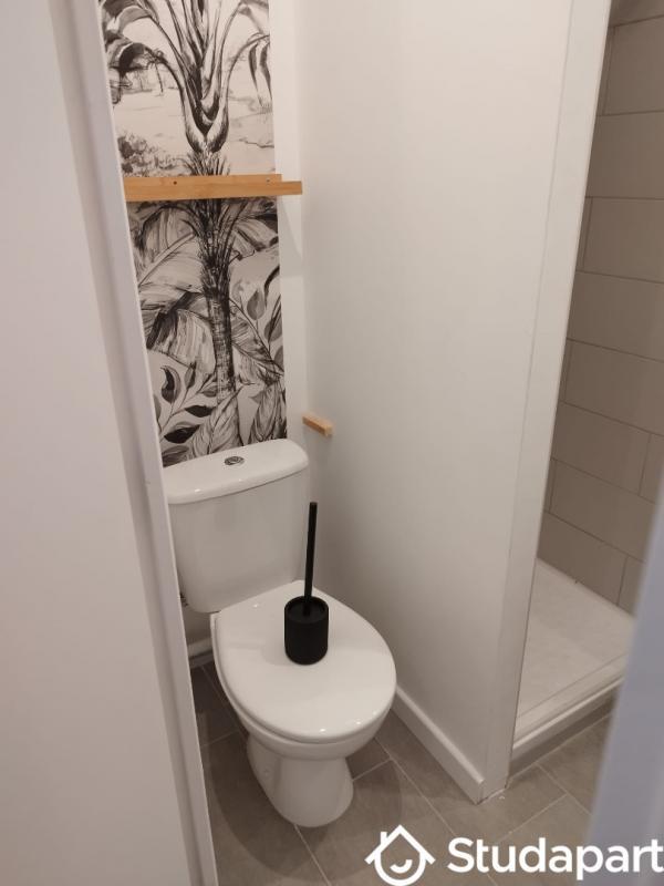 Appartement - 17 m² - 1 pièce