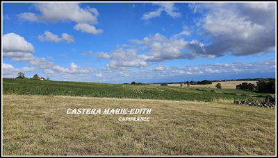 Terrain constructible - 1 503 m²