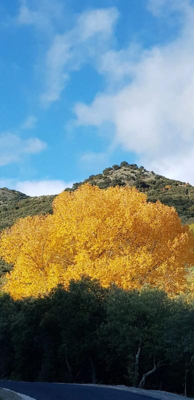 Mas - 266 m² - 12 pièces