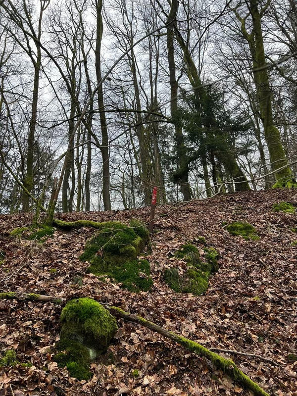 Châlet - 70 m² - 2 pièces