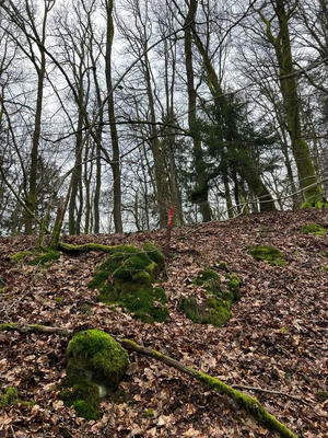 Châlet - 70 m² - 2 pièces