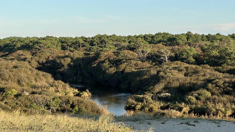 Maison contemporaine - 205 m² - 8 pièces