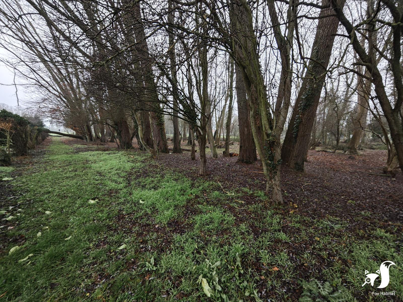 Terrain de loisirs - 13 291 m²