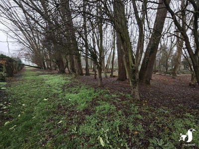 Terrain de loisirs - 13 291 m²