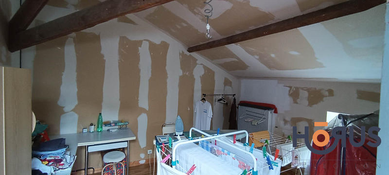 Viager - Maison - 395 m² - 8 pièces