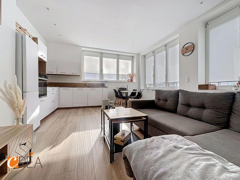 Loft - 52 m² - 2 pièces