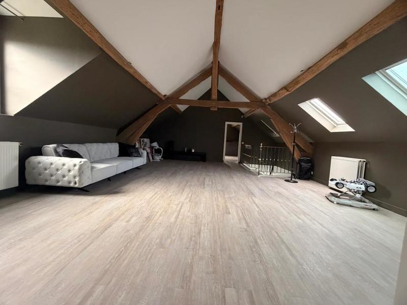 Moulin - 500 m² - 10 pièces