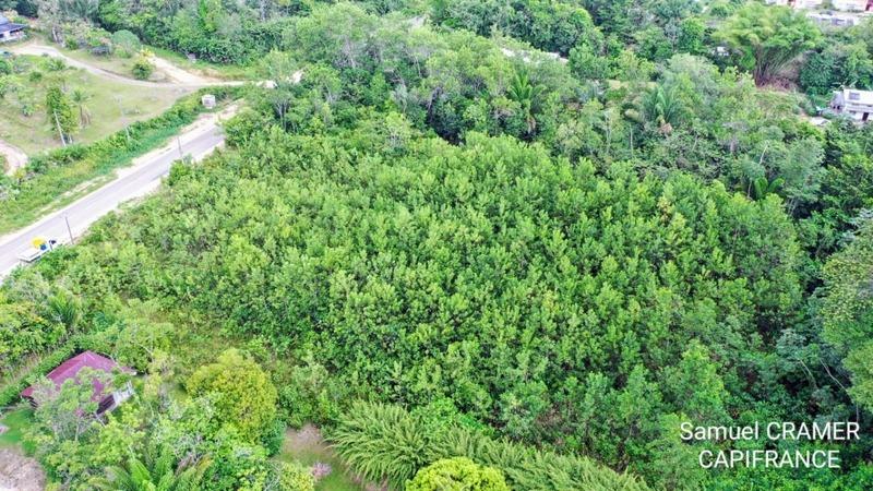 Terrain constructible - 15 000 m²