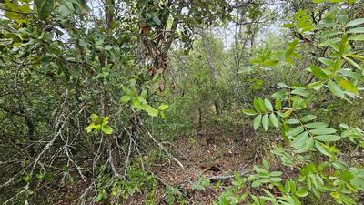 Terrain agricole - 11 136 m²