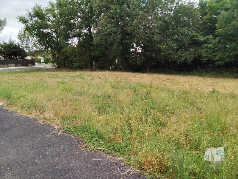 Terrain constructible - 398 m²
