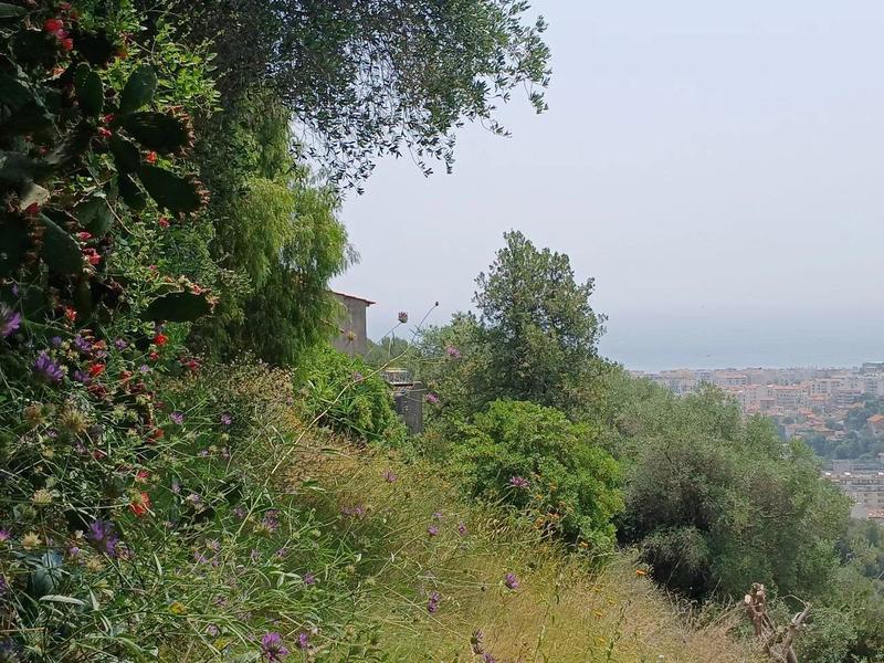 Maison - 251 m² - 10 pièces