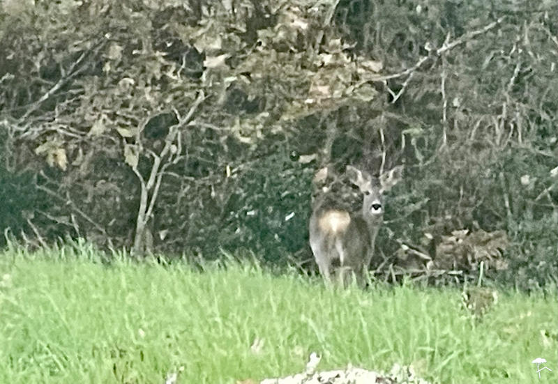 Maison - 180 m² - 7 pièces