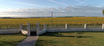 Maison - 142 m² - 4 pièces