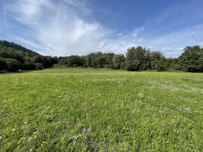 Terrain - 6 146 m²