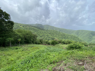 Terrain - 1 200 m²