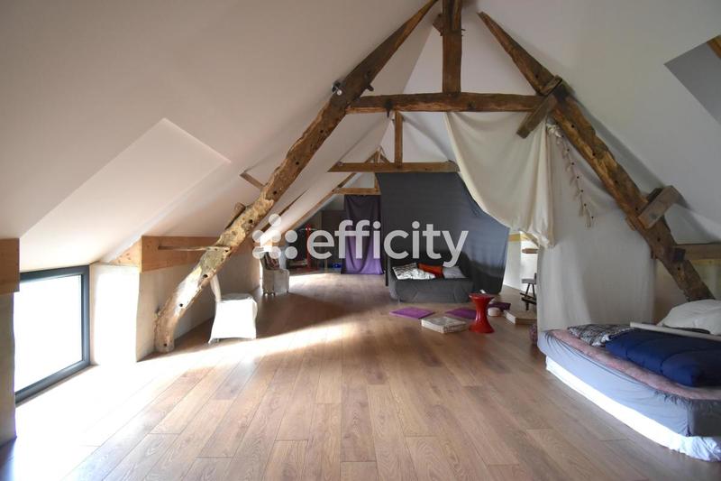 Maison de domaine équestre - 356 m² - 13 pièces