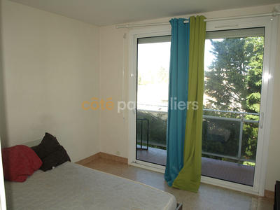 Appartement - 32 m² - 2 pièces