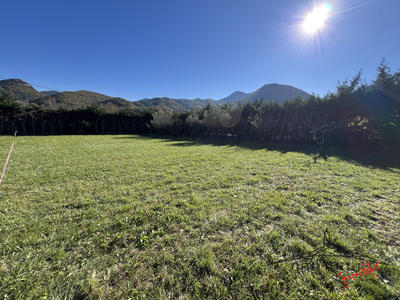 Terrain - 1 231 m²